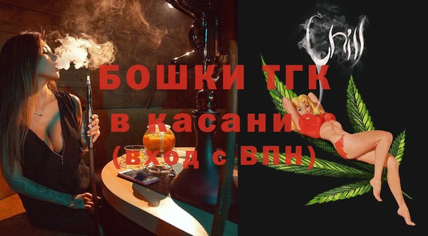 стаф Алексин