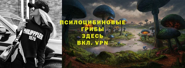 ешки Алексеевка