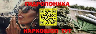 ГАЛЛЮЦИНОГЕННЫЕ ГРИБЫ Кимры